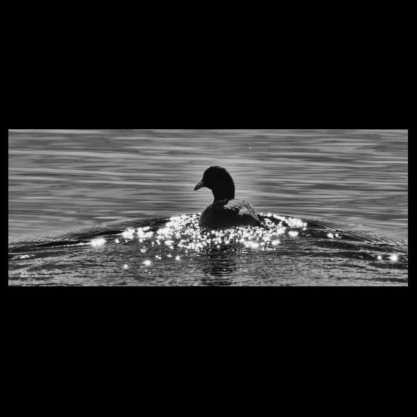 PHOTO84, CLUB, 84 , LUBERON